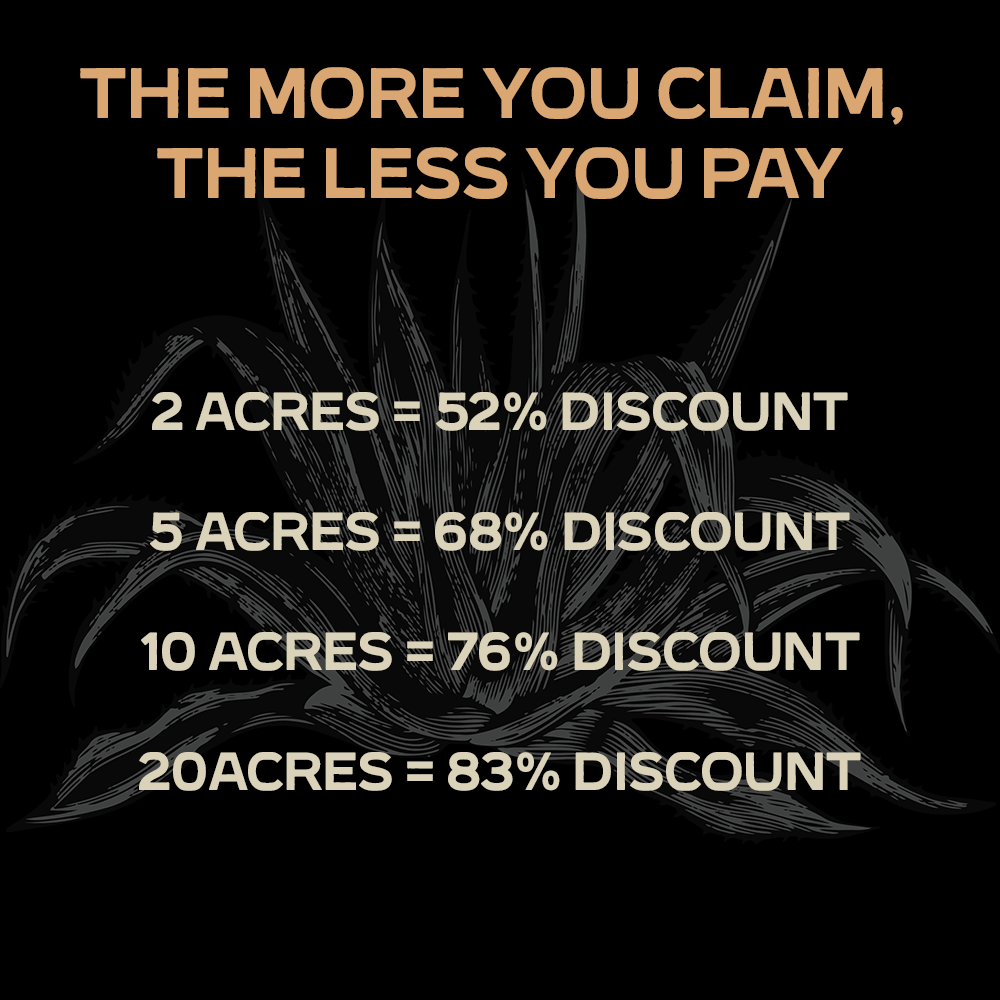 Stake Your Claim in Texas