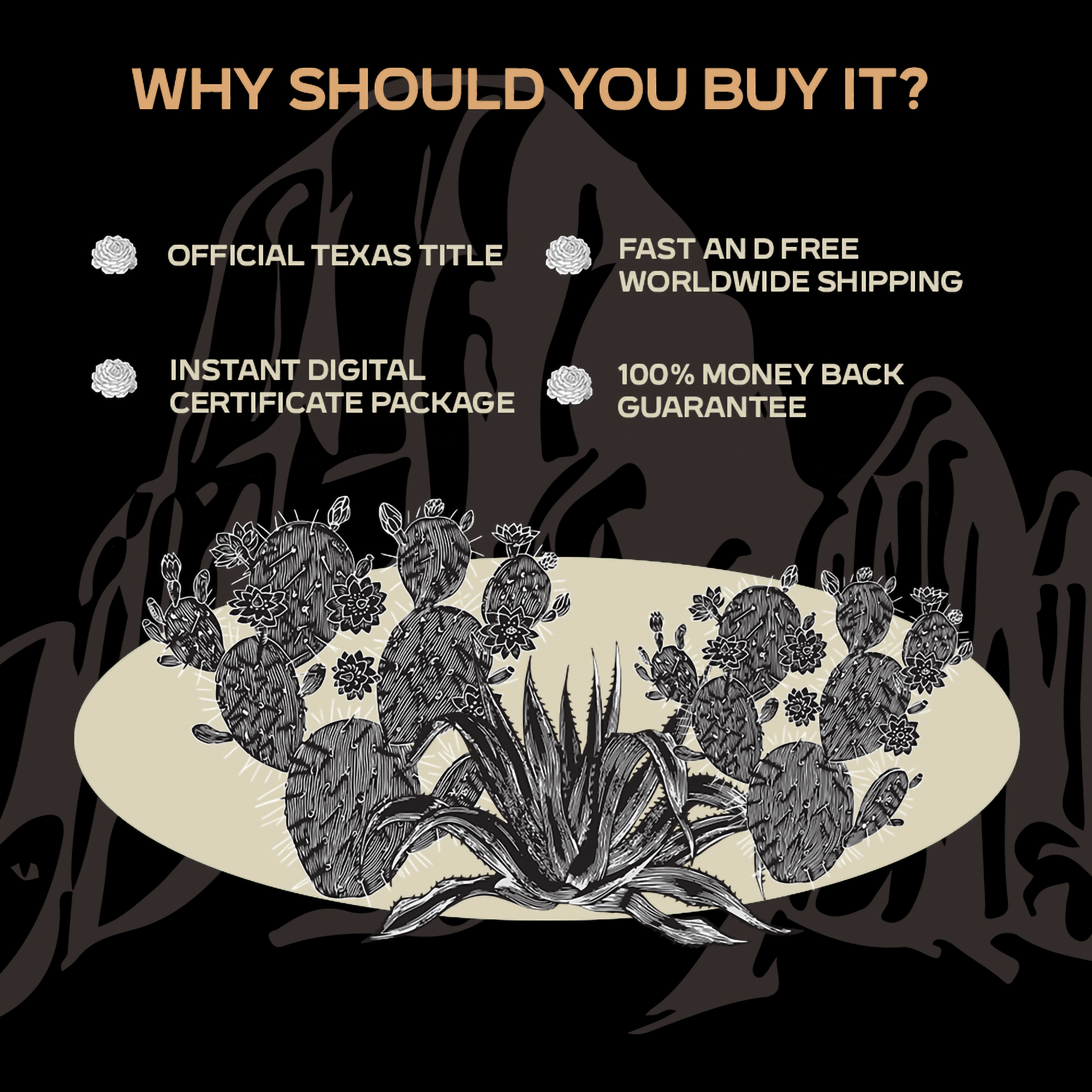 Stake Your Claim in Texas